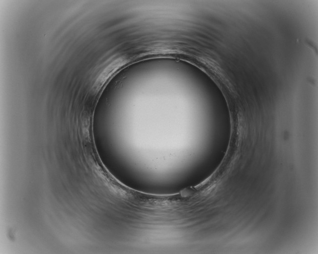 X0000100391273200806130944