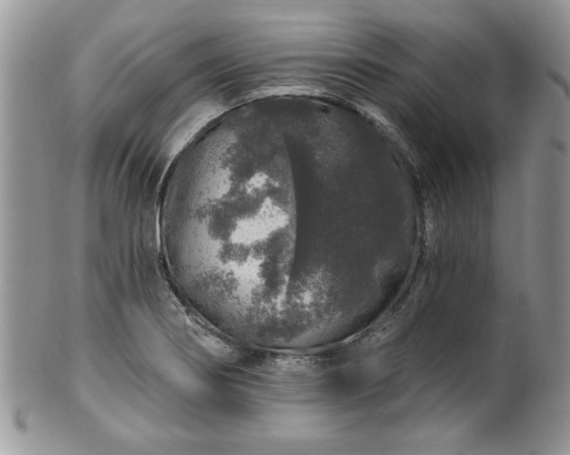 X0000100391274200806130944