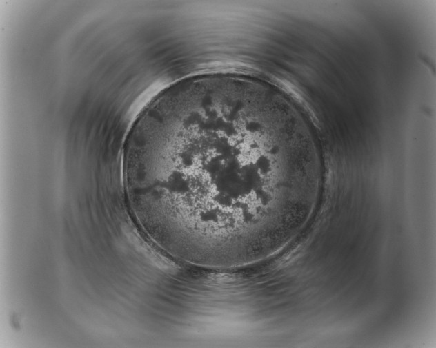 X0000100391275200806130944