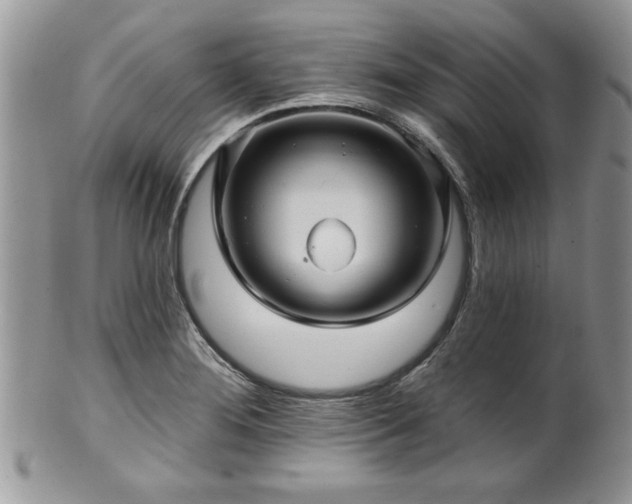 X0000100391276200806130944