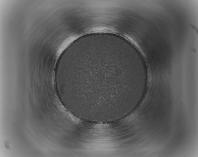 X0000100391277200806130943