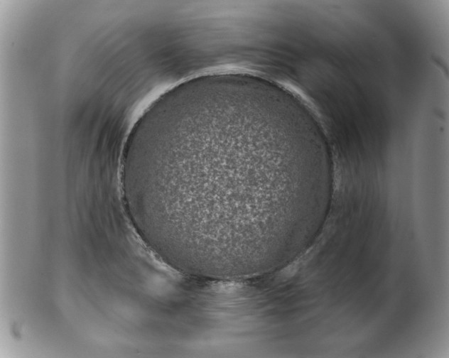 X0000100391278200806130943