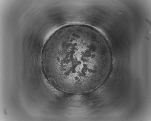 X0000100391279200806130943