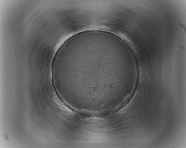 X0000100391280200806130943