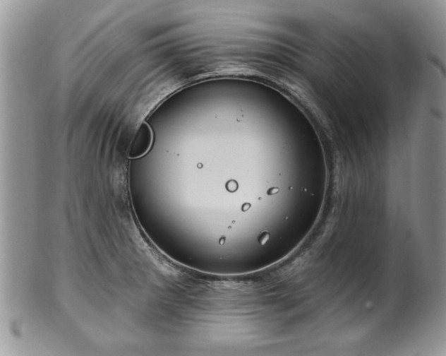 X0000100391281200806130943