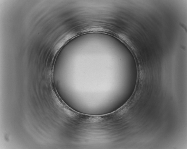 X0000100391282200806130943