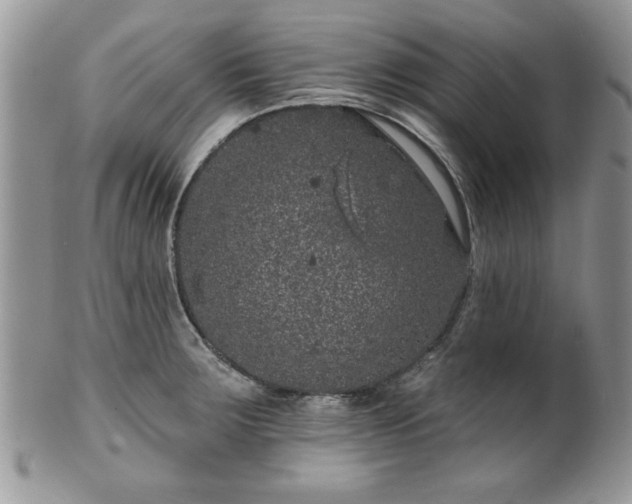 X0000100391283200806130943