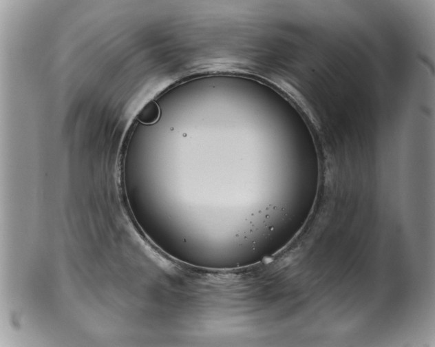 X0000100391285200806130943