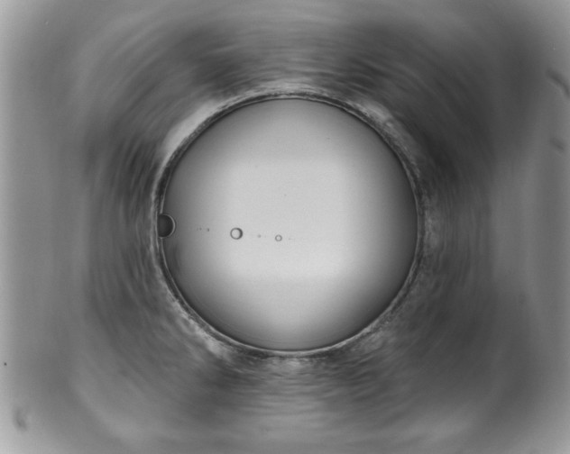 X0000100391286200806130943