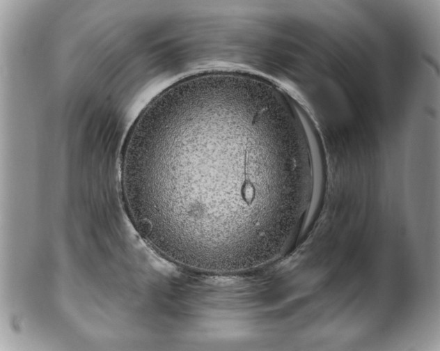 X0000100391287200806130943