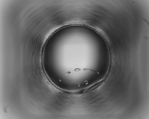 X0000100391288200806130943