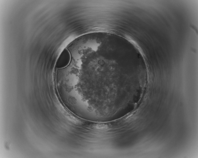 X0000100391291200806130943