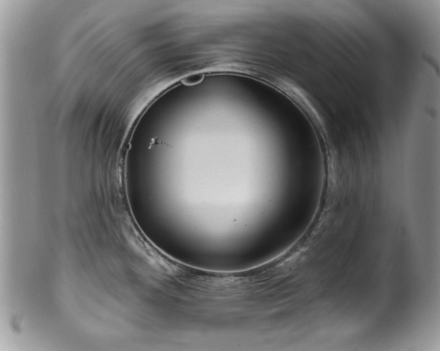 X0000100391292200806130943