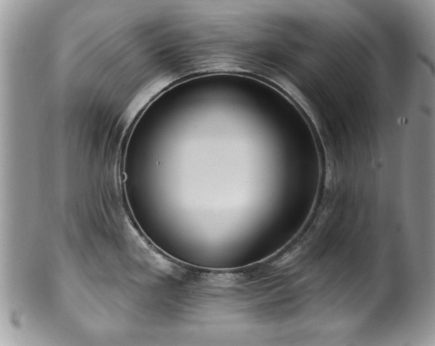 X0000100391293200806130943