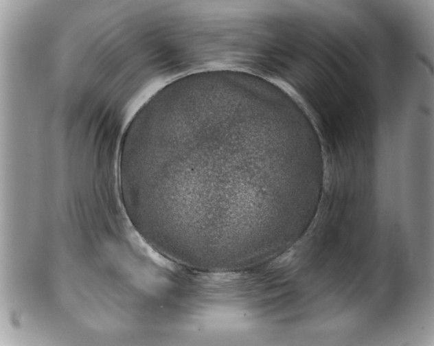 X0000100391294200806130943