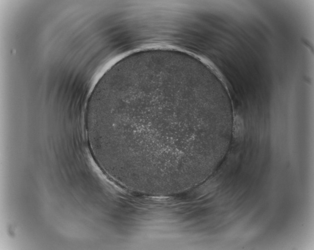 X0000100391295200806130943