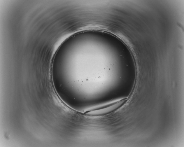 X0000100391296200806130943