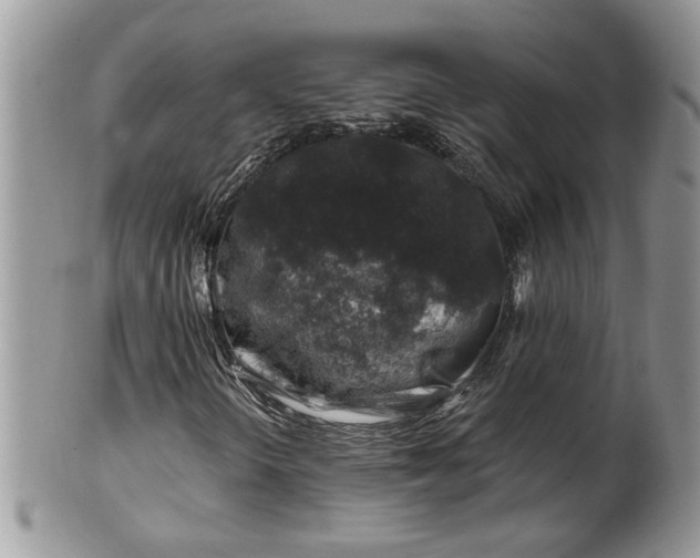 X0000100391298200806130943