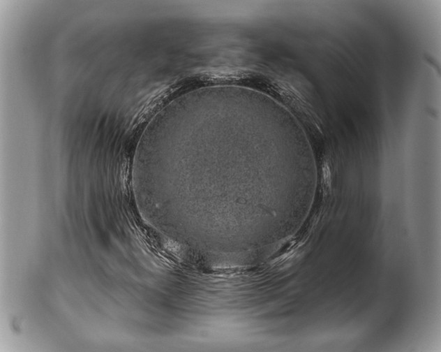 X0000100391300200806130943