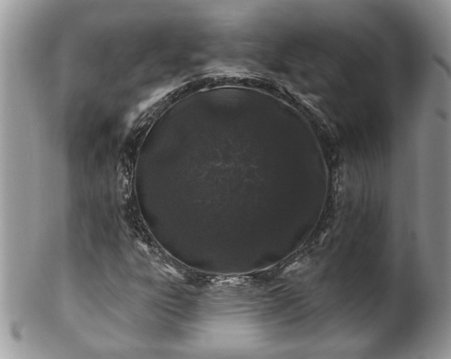 X0000100391303200806130943