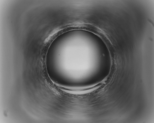 X0000100391304200806130943