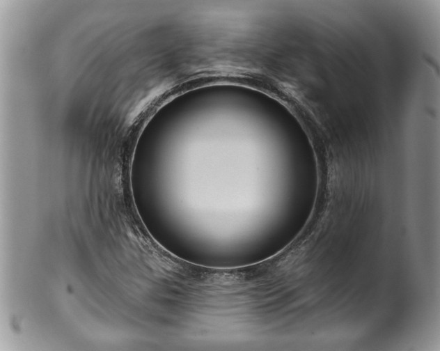 X0000100391307200806130943