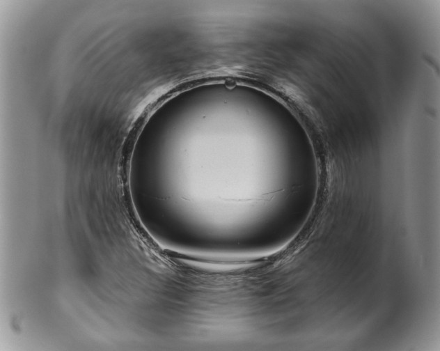 X0000100391308200806130943