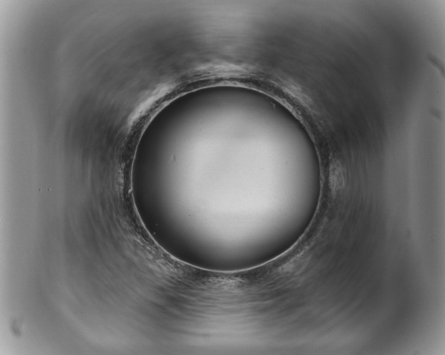 X0000100391309200806130943