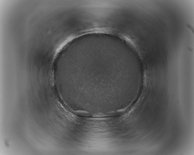 X0000100391310200806130943