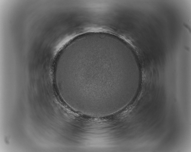 X0000100391311200806130943