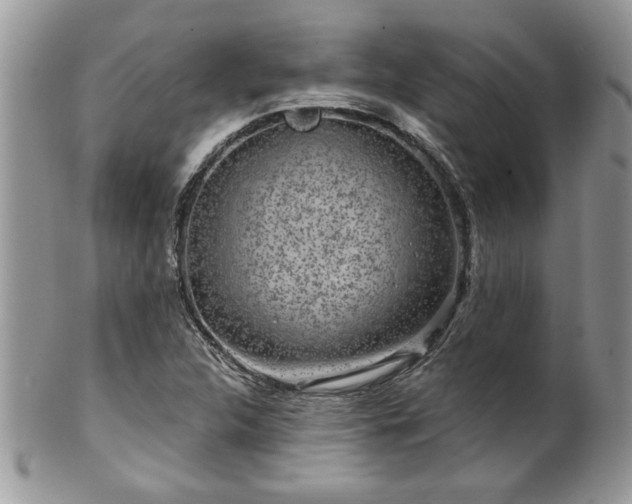 X0000100391312200806130943