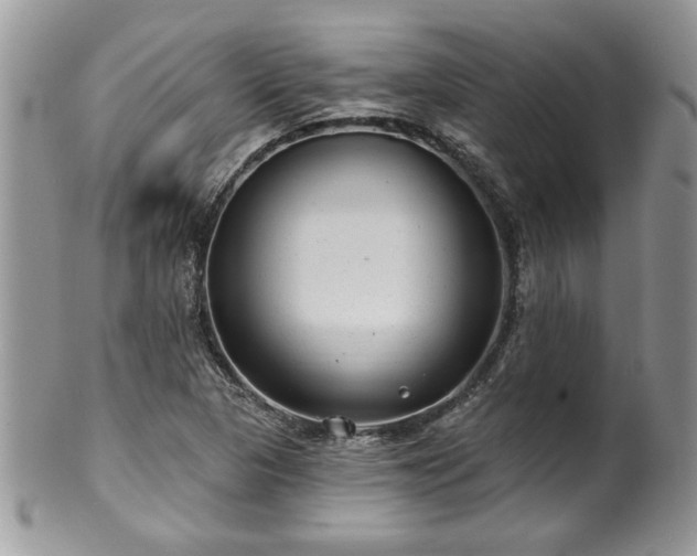 X0000100391313200806130943