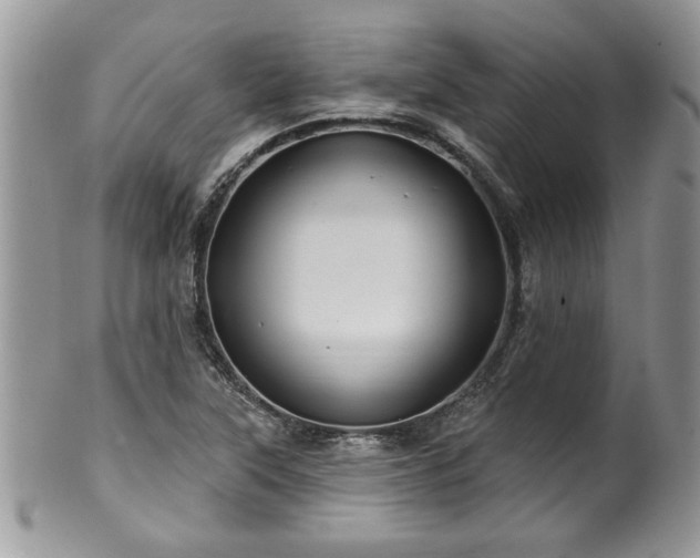 X0000100391315200806130943