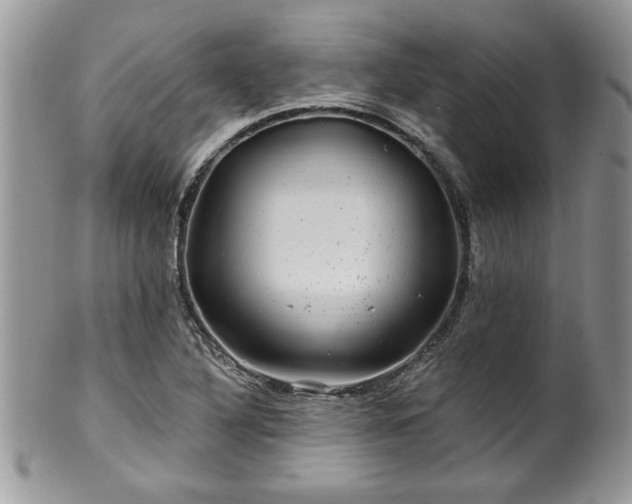 X0000100391316200806130943