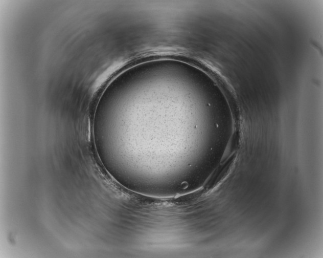 X0000100391317200806130943