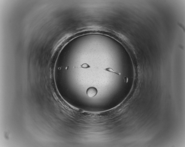 X0000100391318200806130943