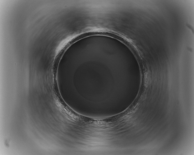 X0000100391319200806130943