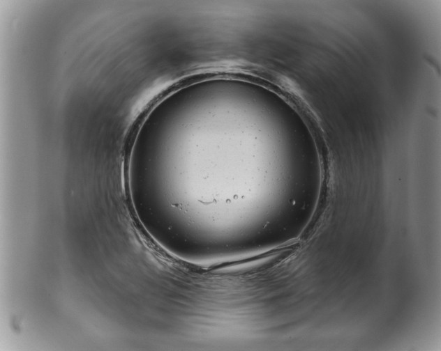 X0000100391320200806130943