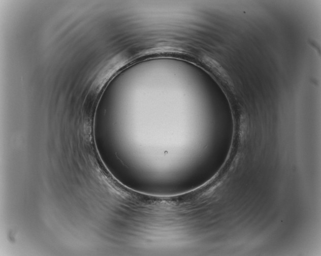 X0000100391321200806130943