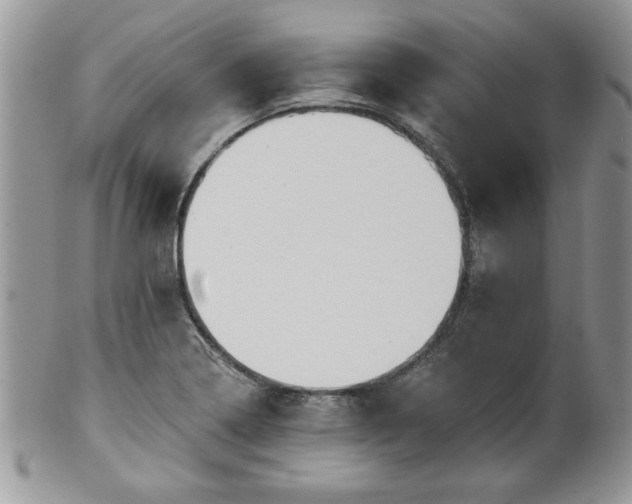 X0000100391322200806130943