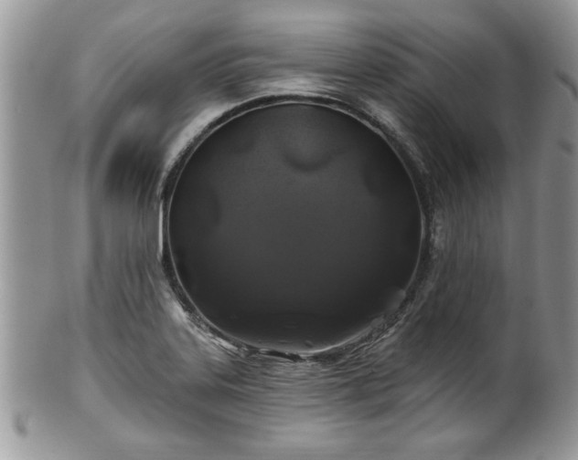 X0000100391323200806130943