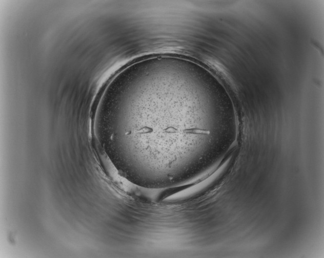 X0000100391324200806130943