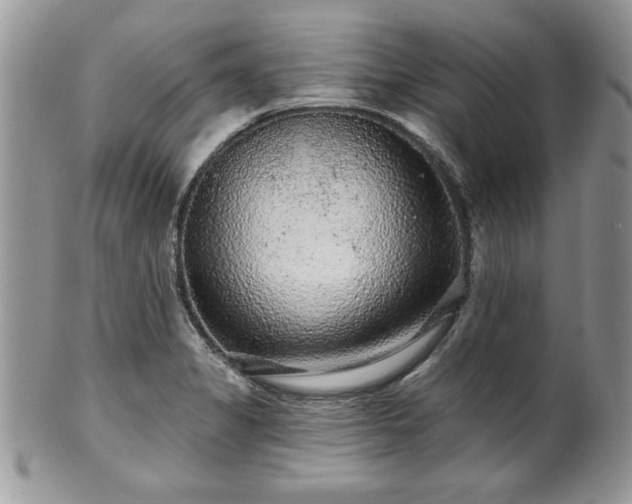 X0000100391325200806130943