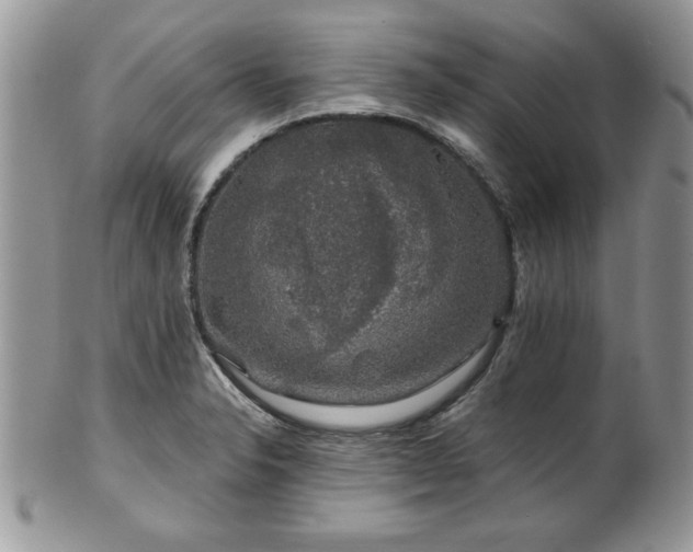 X0000100391326200806130943