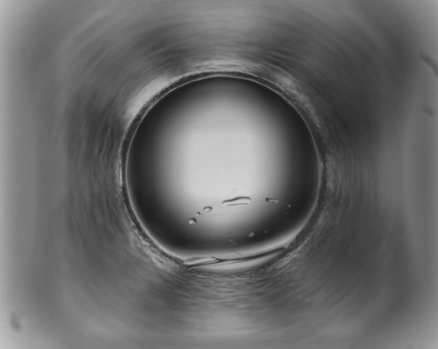 X0000100391328200806130943