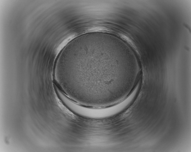 X0000100391330200806130943