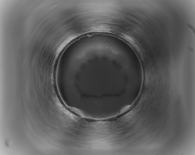 X0000100391331200806130943