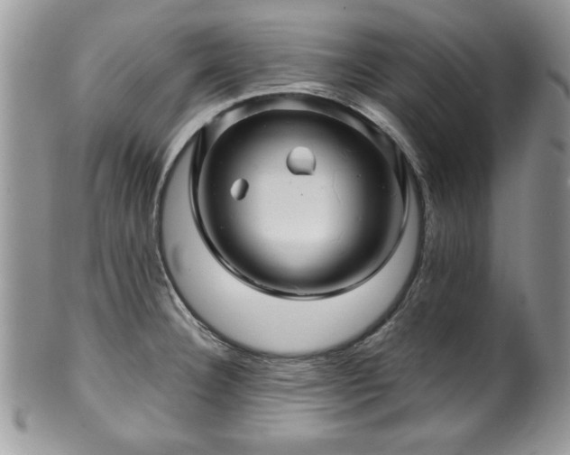 X0000100391332200806130943