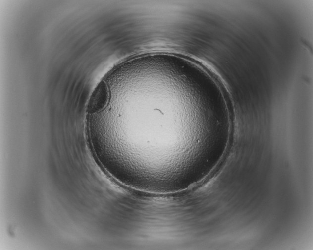 X0000100391333200806130943