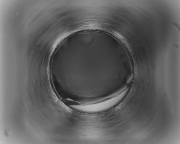 X0000100391334200806130943